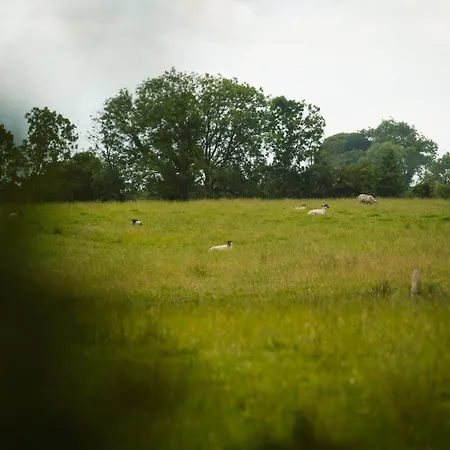 Kitty Kiernan's Self Catering Thatch * Λόνγκφορντ