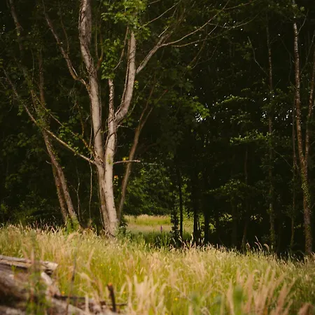 Kitty Kiernan's Self Catering Thatch *