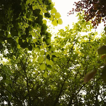 Kitty Kiernan's Self Catering Thatch *