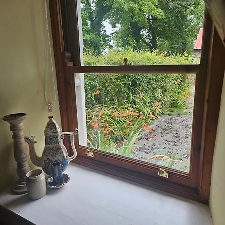 Kitty Kiernan's Self Catering Thatch Σπίτι διακοπών Λόνγκφορντ